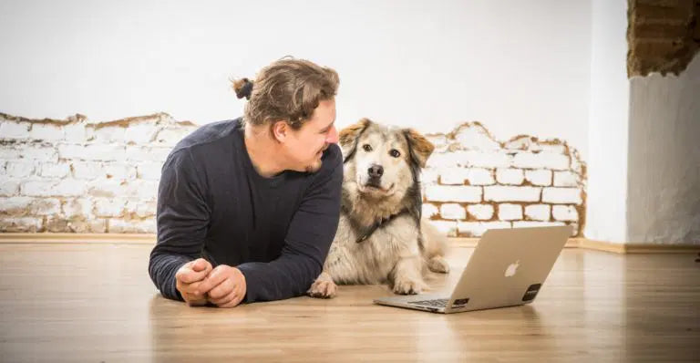 Bandscheibenvorfall beim Hund - wie er behandelt wird und welche Kosten entstehen können